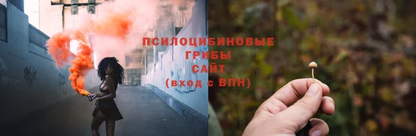 амф Липки