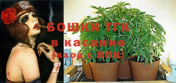 амф Липки