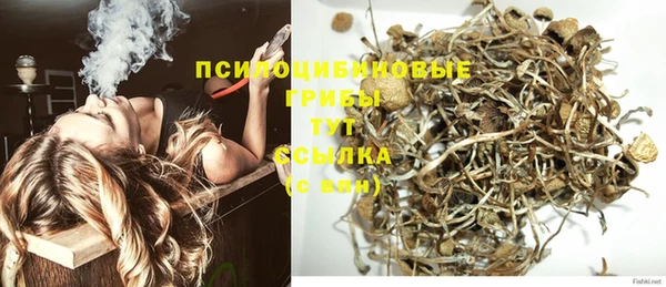 амф Липки