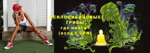 амф Липки