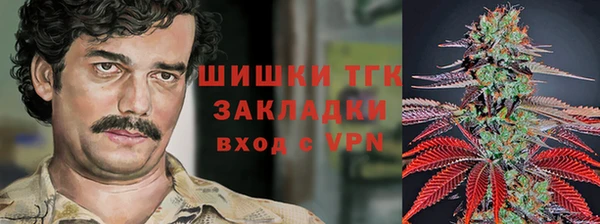 амф Липки